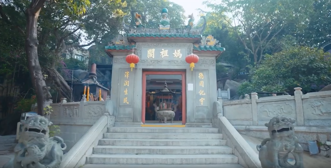 活動策劃者喜愛澳琴會展的原因
